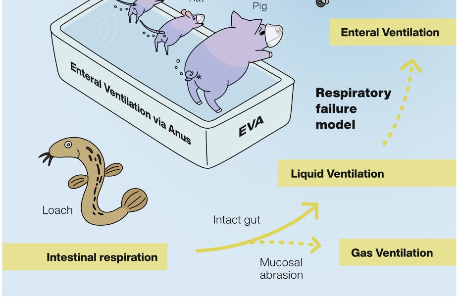 BioDodo Research Digest 4 Artificial Life, In Vivo Enzymology and the