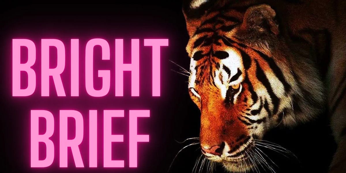 Bright Brief - Axis, Allies ... or Both?