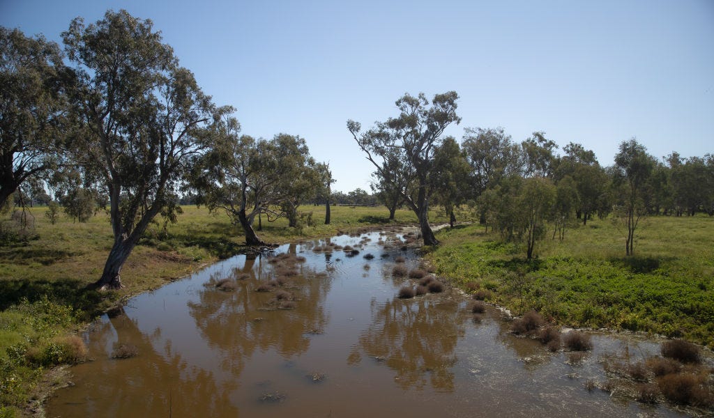 Australian farms among most productive in the world