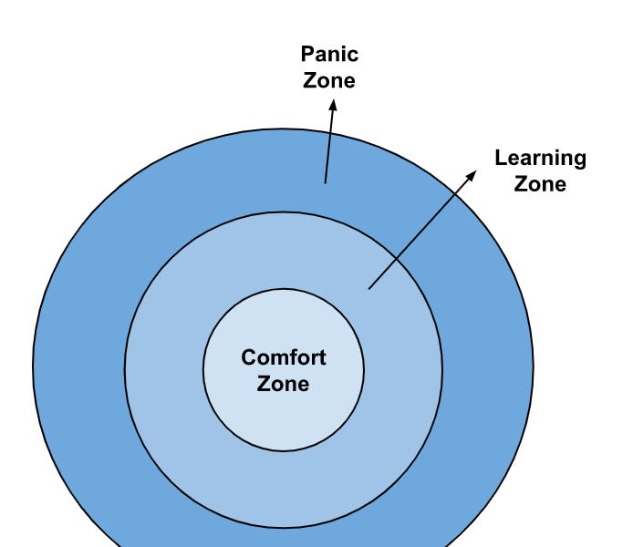 FIGURE E Comfort zone model showing comfort, learning, and panic