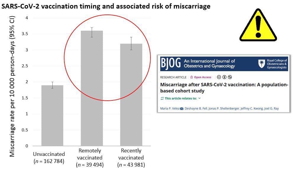DEATHVAX™ DEPOPULATION UPDATE: Increased Risk of Miscarriage After Injection Against SARS-CoV-2