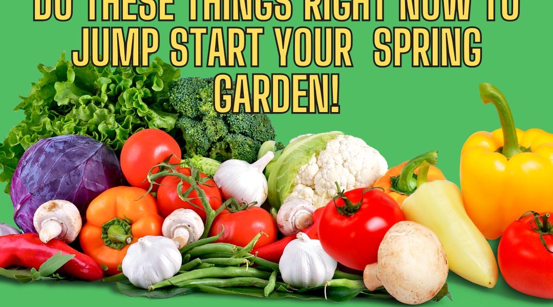 Do This Now Getting Ready For YOUR Spring Garden