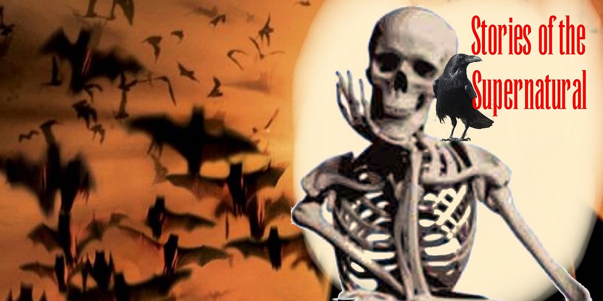 Are You Haunted? | Interview with Bobbie L. Brown | Podcast