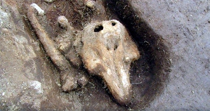 Burial Mysteries