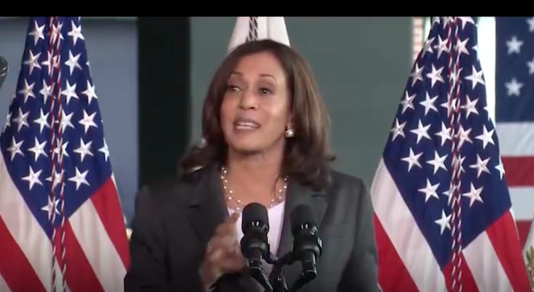 Congress gave Kamala Harris $42.5 billion to fix the internet, then the money disappeared