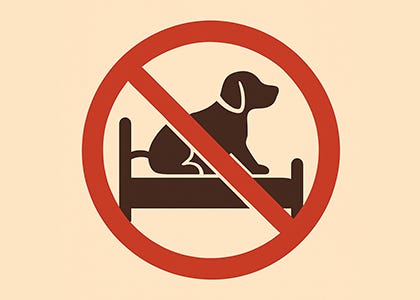 No Dogs Allowed? Questioning Pre-Surgery Pet Bans