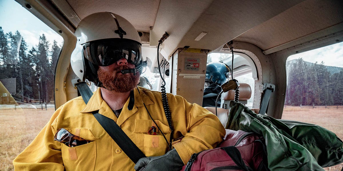 Ulusal Orman Tomrukçuluğu Dolandırıcılığı ve...