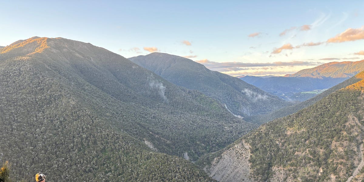A Tale of Two Rams an account of wild sheep hunting in New Zealand