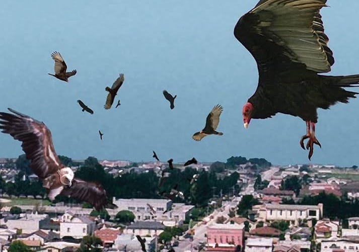 H5N1 Avian Flu: A Deep Dive into the Pandemic Threat