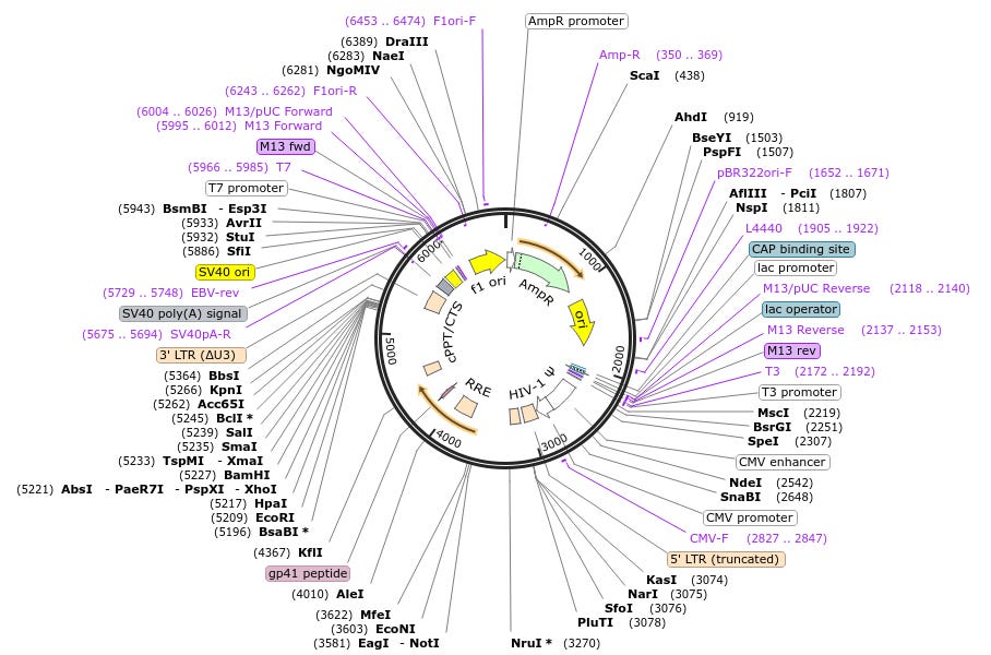New England Journal of Medicine: study confirms viral promoter with SV40 sequence causes cancer!