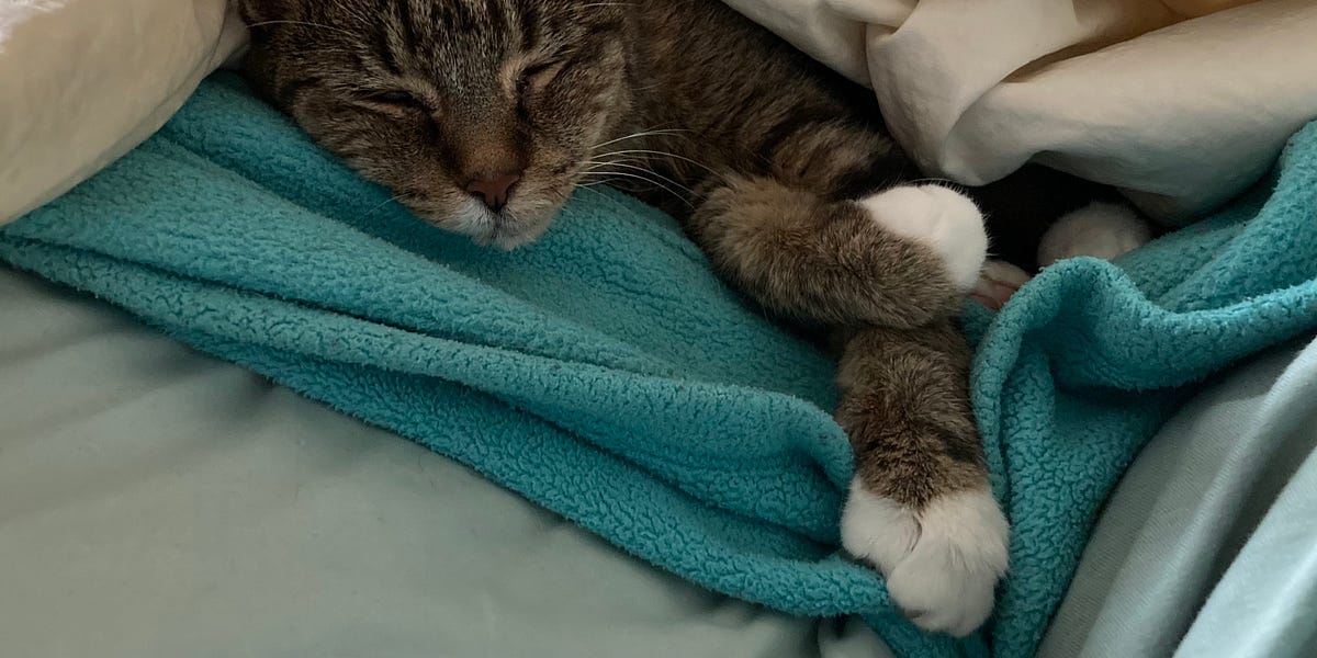 Today We Celebrate Being Cheap And Homely!