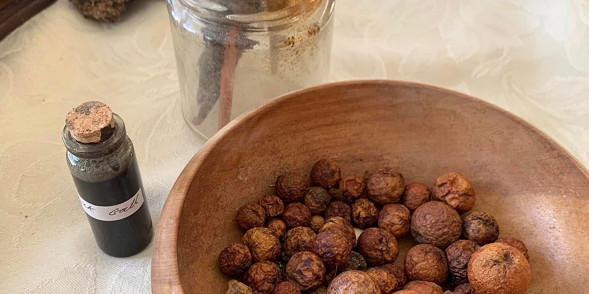 How to make Oak Gall Ink by Jez Franck Colours of Home