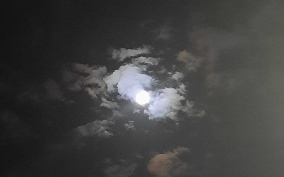 to our orbit, asteroid 2024 pt5 by ash