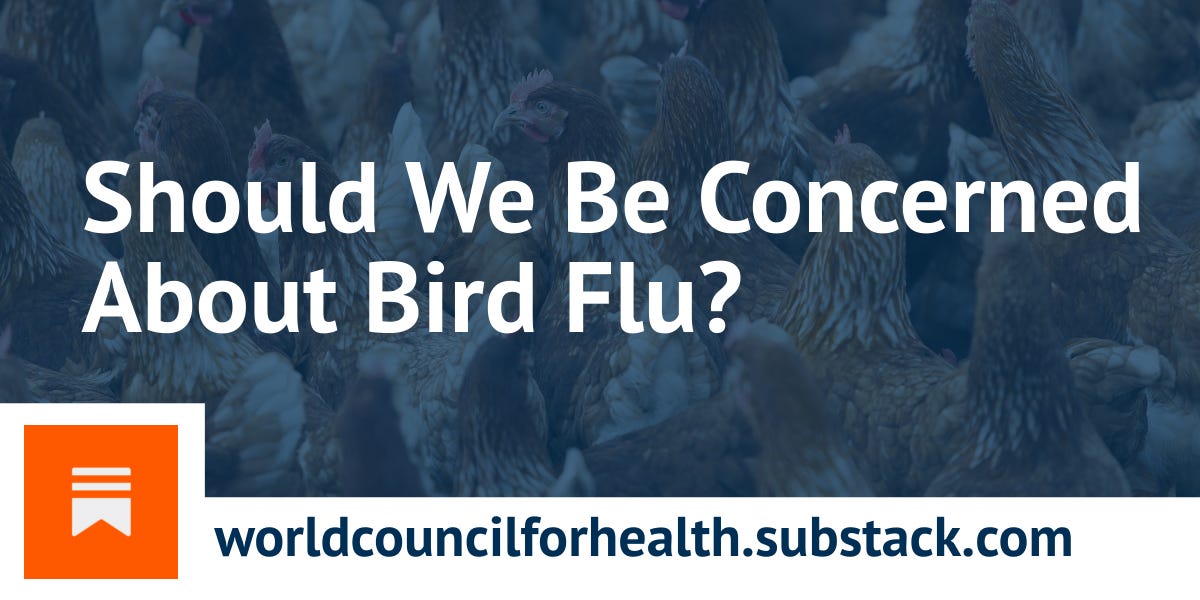 Should We Be Concerned About Bird Flu?