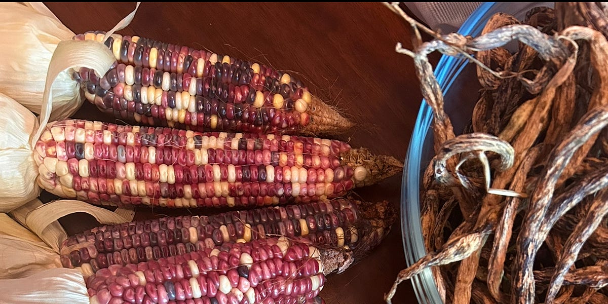 * CORN PORTAL * by Lauren Murphy Hillfolk Farmacy