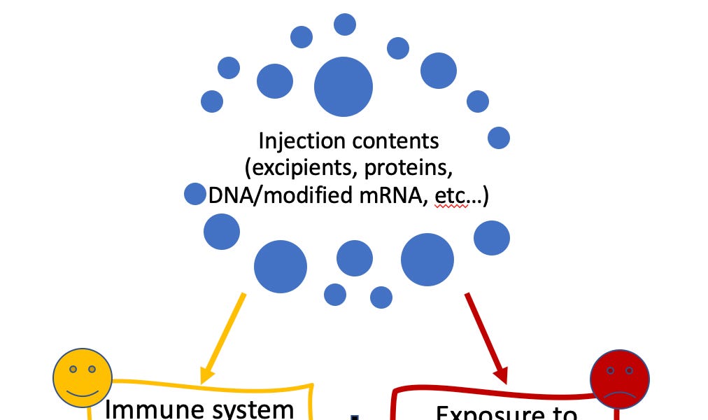 Spike-mediated (CTL)-mediated immunity is NOT autoimmunity