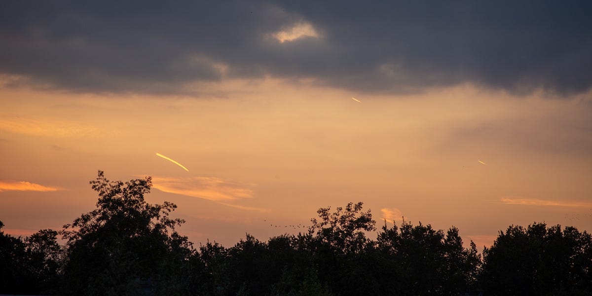 Trying to see the of the century"