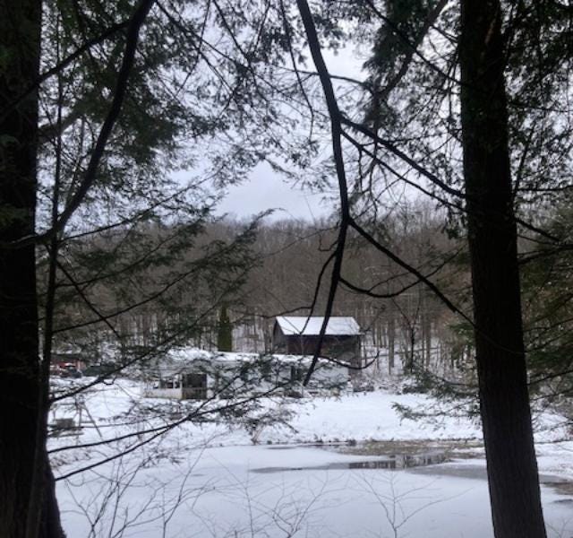 Home for the Holidays 2025