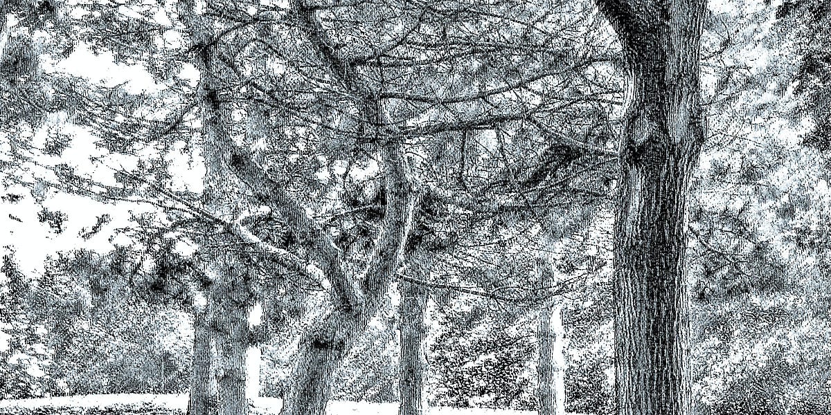 The World Turned Upside Down Episode 7 by Ed Santella