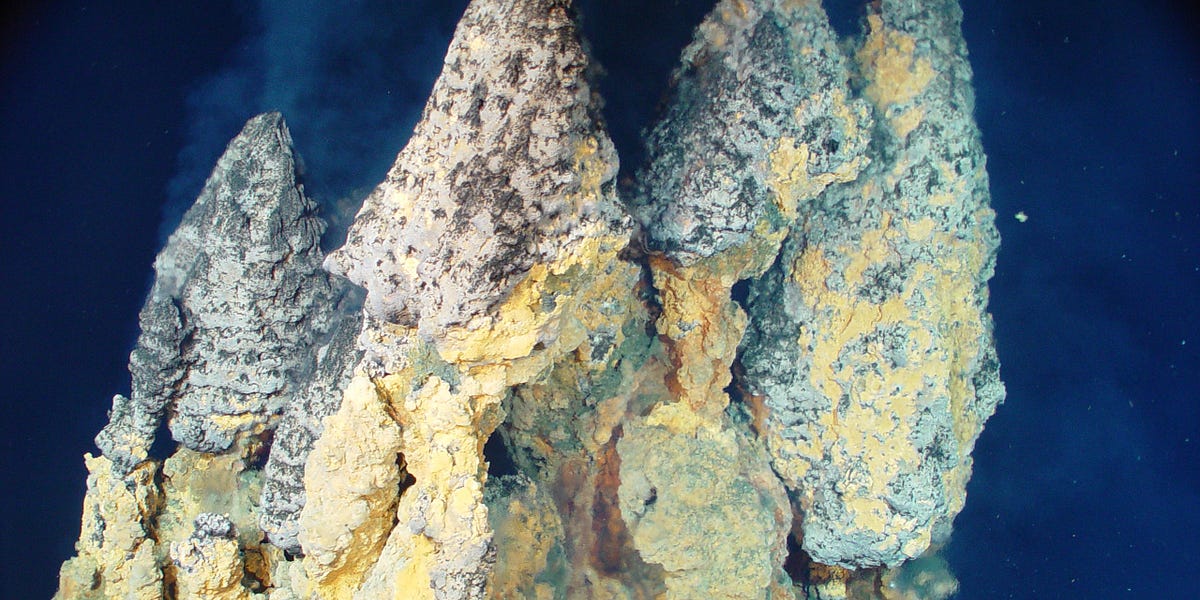 The Meaning of Exploration by Elyse Hauser