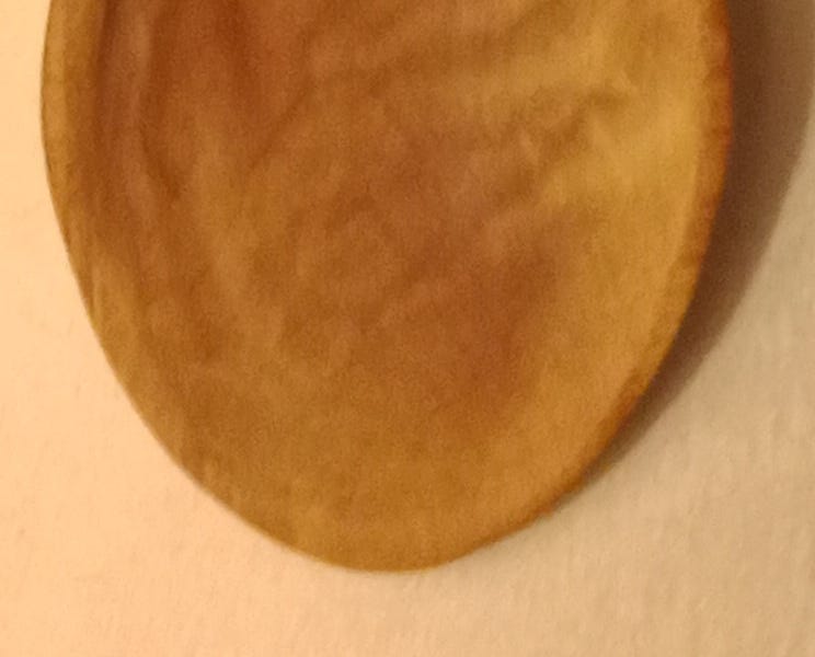 Toasted Holly Cooking Spoon