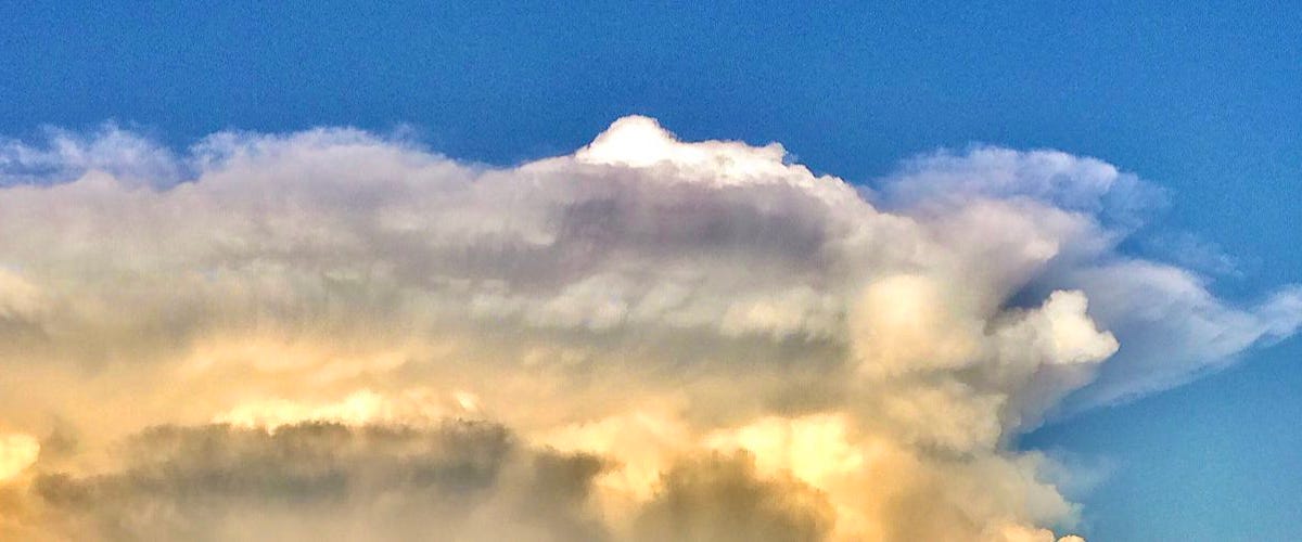 The One Issue Voters by Carl Atteniese