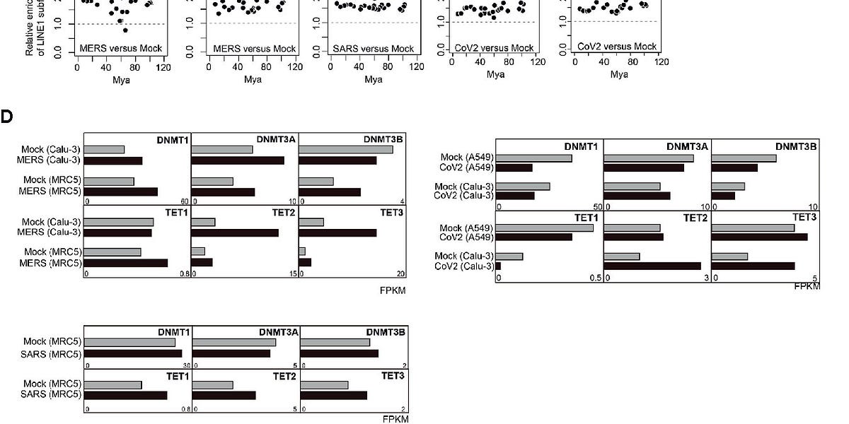 Pli Selon Pli: The Slow, Inexorable Replacement of Our DNA with Spike Protein – and it Could Be Hereditary