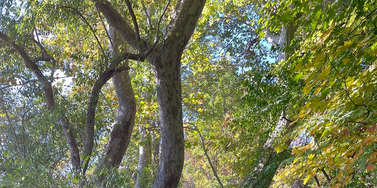 Lilith City Blues by Chris Mellen