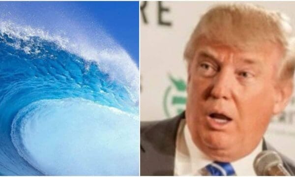 Trump Fuels Blue Wave By Planning To Hit Americans With Biggest Peacetime Tax Increase In History