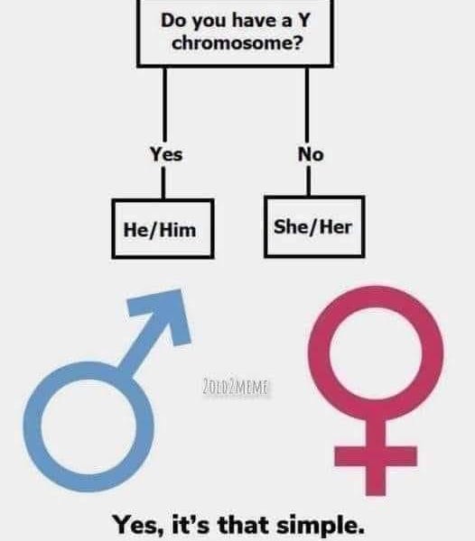 THE INSURGENCY MONDAY NEWS BLAST