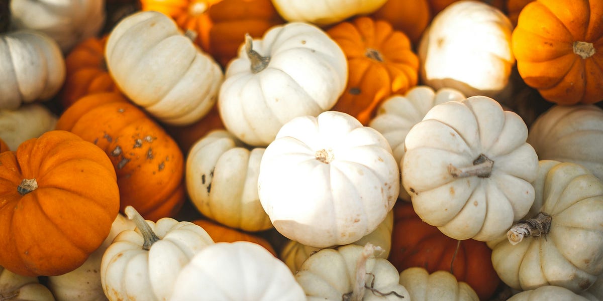 Issue 77 One Hot Encoding