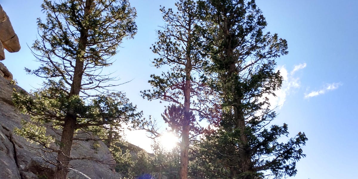 Seasons by Eliana This Wilderness of Hope