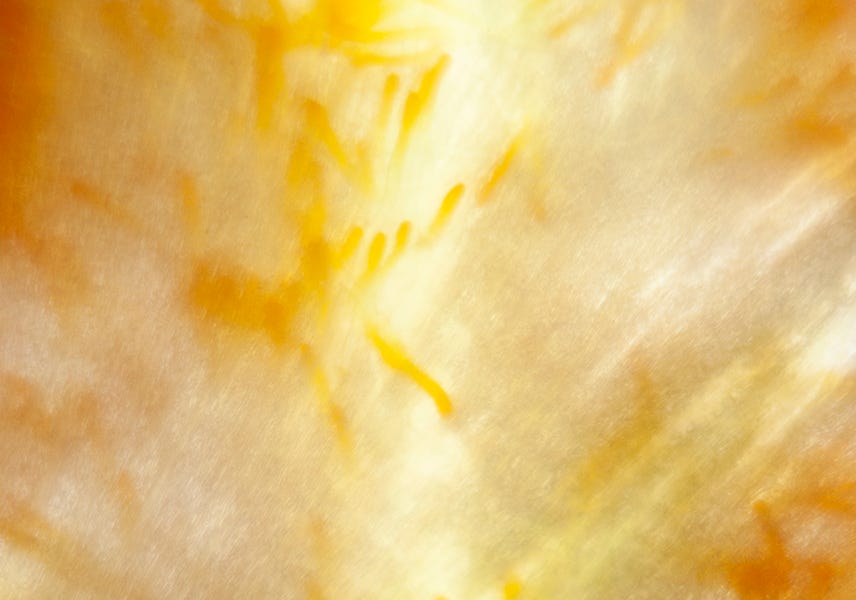 Comments Current exhibitions by Kevin Hansen