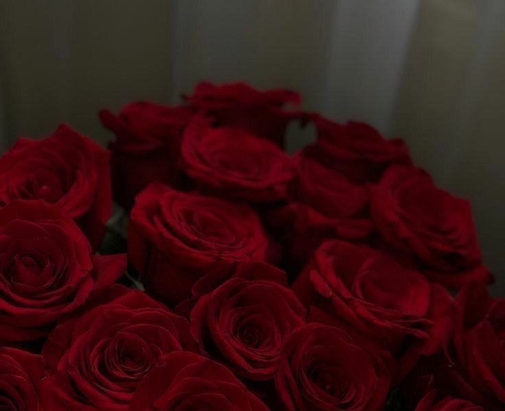 Red Roses by Olivia Sterett a.soft.spoken.writer