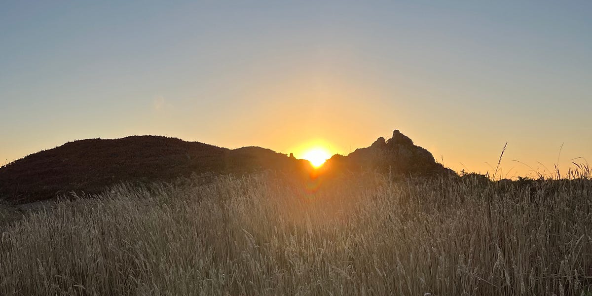 The "____" Writer Anna Snader