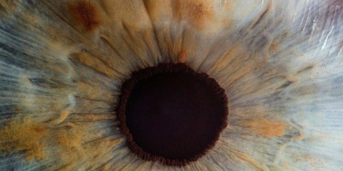 Genetic engineering could rewrite human nature and institutions