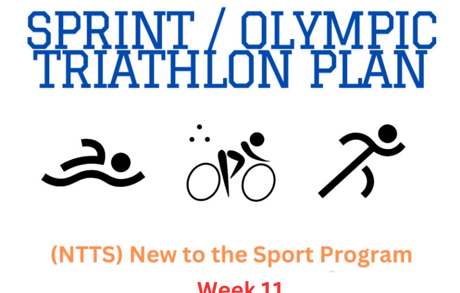 Sprint / Olympic Triathlon Training Plan (NTTS)