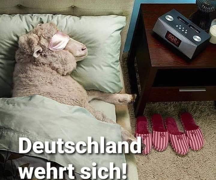 Das preiswürdige Ende des größten Scams der Geschichte Das preiswürdige Ende des größten Scams der Geschichte