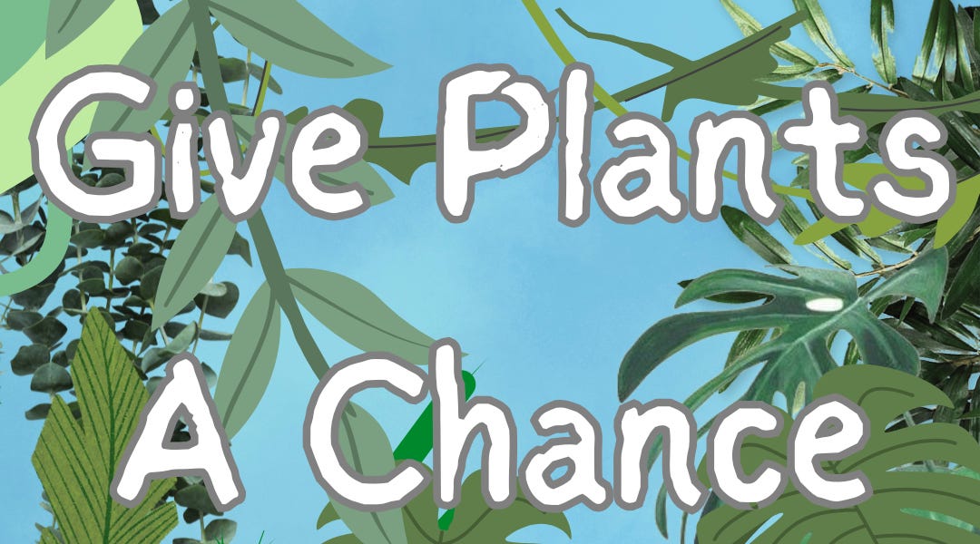 Give Plants a Chance by Hannah Rose Animal Anthology