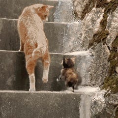 I Love LA. Tabs, Wed., June 11, 2025