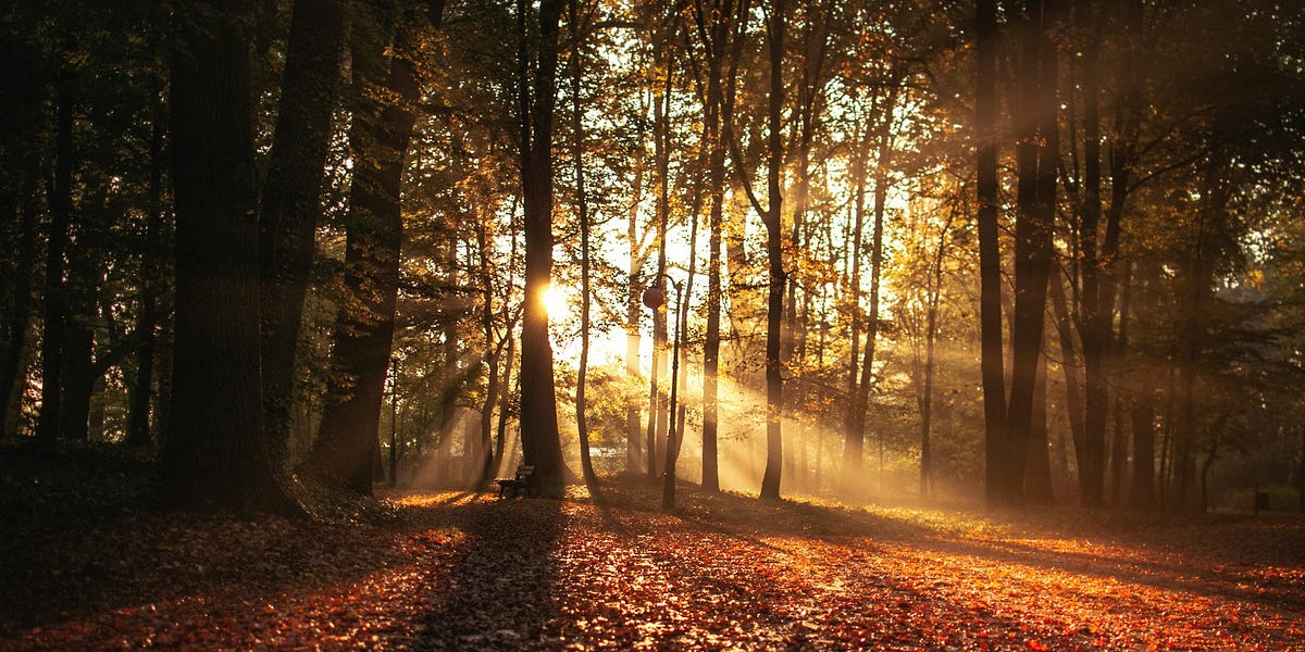 Issue 74 Snooping Bias