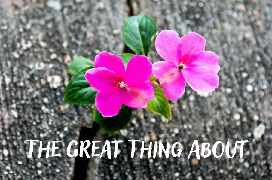 The Great Thing About Hard Things