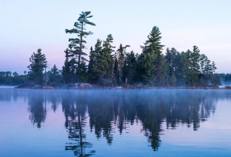 2025 DFL Environmental Caucus Legislative Committee Forming