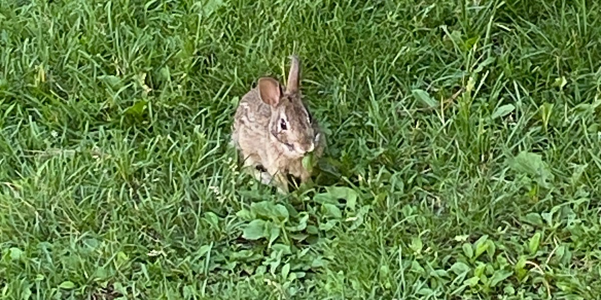 just a girl by mila ruminations