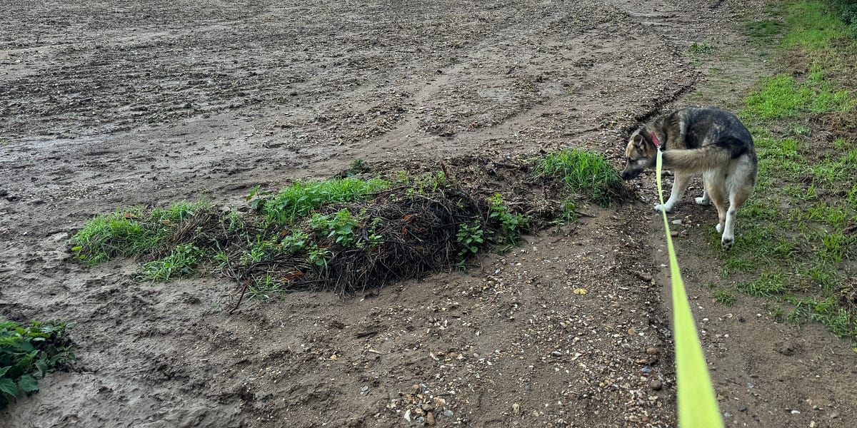 I Like to Move it. Richard Herring's Substack