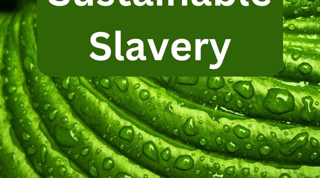 Sustainable Slavery