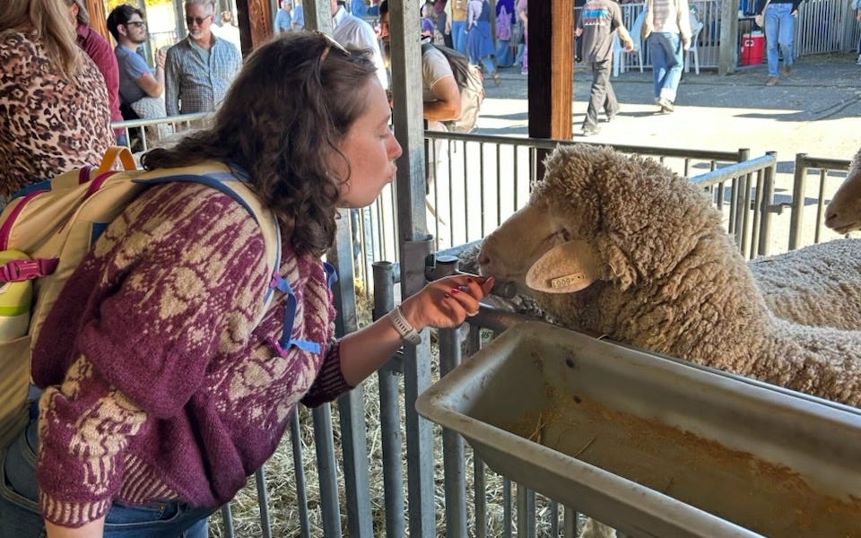 I quit my job by Bailey Madison Dissonance