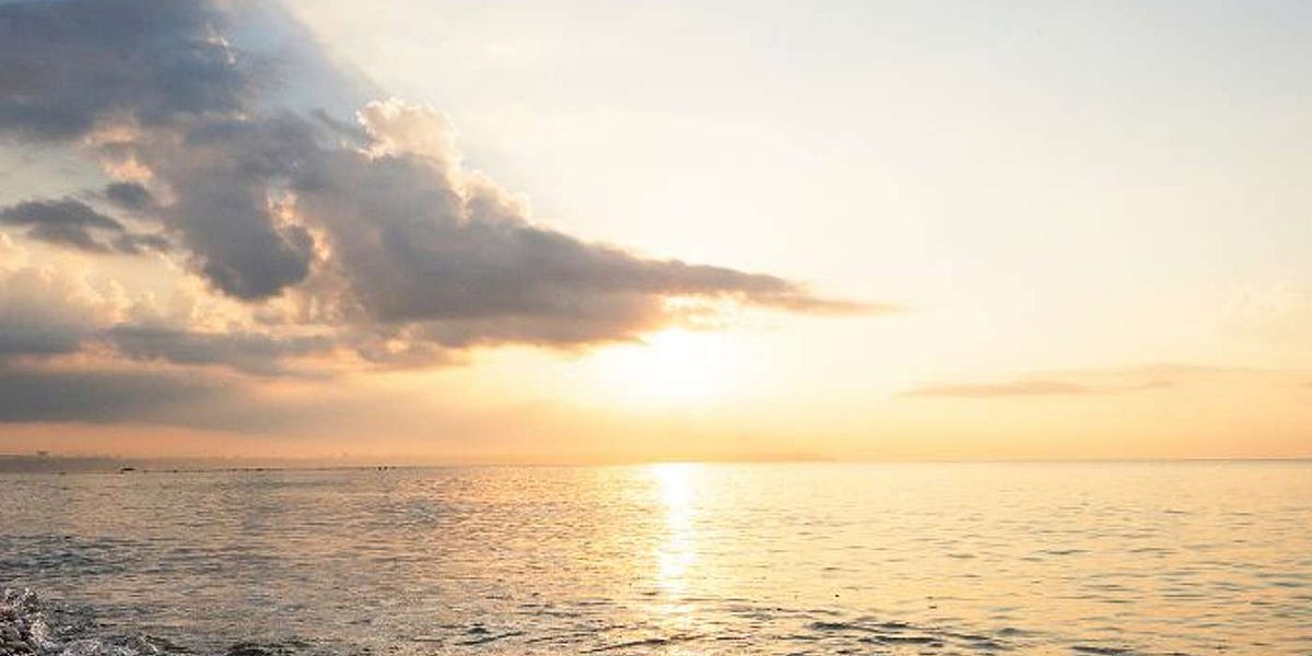 Sunrise Soliloquy My Continued Quest for Health Amid Tempting Treats