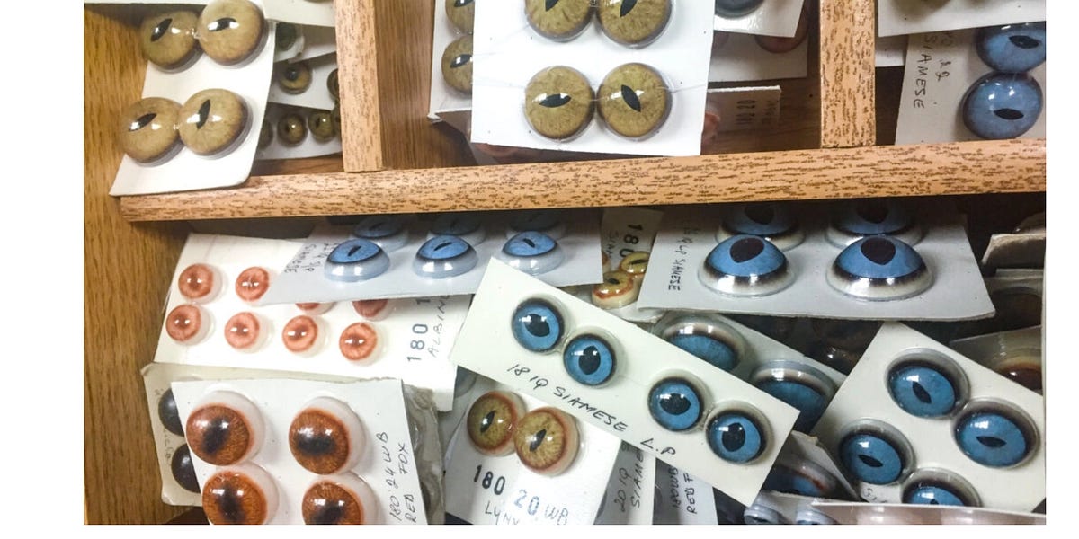 Evergreen: I Went To Profile A Glass Eye Factory In PA, And Happened Upon The Saga Of A Self Made Inventor Turned Taxidermist Who Ran A Smuggling Ring That Snuck Bibles Into Romania