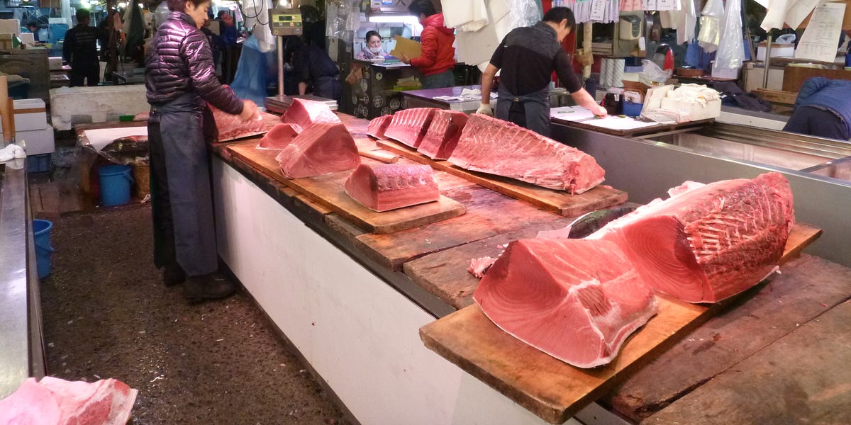 157 Emerging Trends in Food Fraud Worst Food Pun of The Week